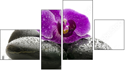 Violet orchid on black spa stones with water drops - Four-piece canvas print, Fortyk