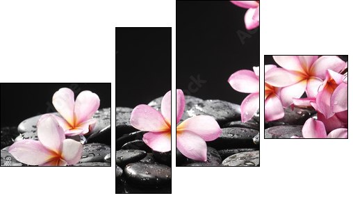 Set of frangipani with zen stones - Four-piece canvas print, Fortyk