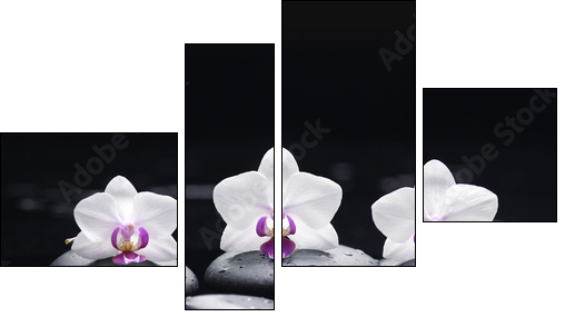 orchid flower and stones in water drops - Four-piece canvas print, Fortyk