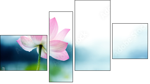 blooming lotus flower - Four-piece canvas print, Fortyk