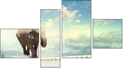 Elephant walking on rope - Four-piece canvas print, Fortyk