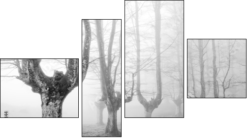 creepy forest with scary trees - Four-piece canvas print, Fortyk