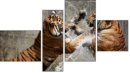 Tiger Battle - Four-piece canvas print, Fortyk