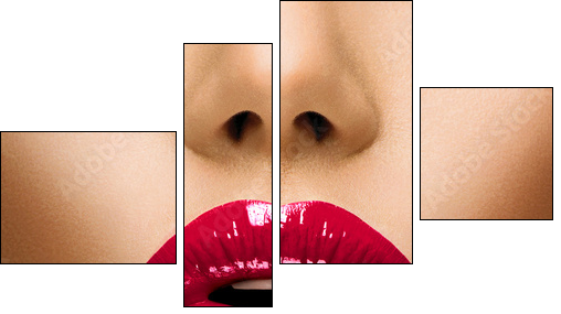 Sexy Lips. Beautiful Make-up Closeup. Kiss - Four-piece canvas print, Fortyk