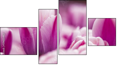 Pink tulips - Four-piece canvas print, Fortyk