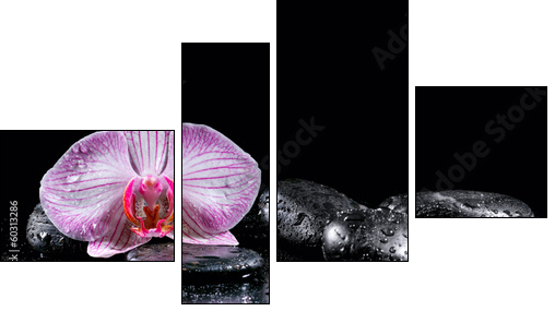 Orchid flower with zen stones on black background - Four-piece canvas print, Fortyk