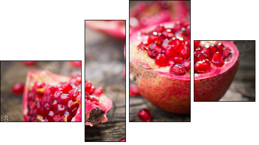 Pomegranate - Four-piece canvas print, Fortyk