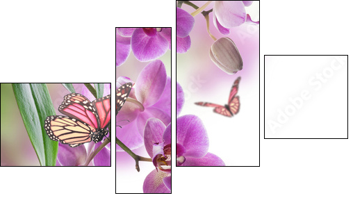 Floral background of tropical orchids and  butterfly - Four-piece canvas print, Fortyk