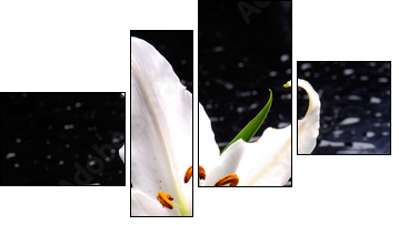 Macro of white lily with therapy stones - Four-piece canvas print, Fortyk