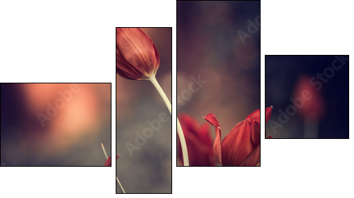 red garden tulips - Four-piece canvas print, Fortyk