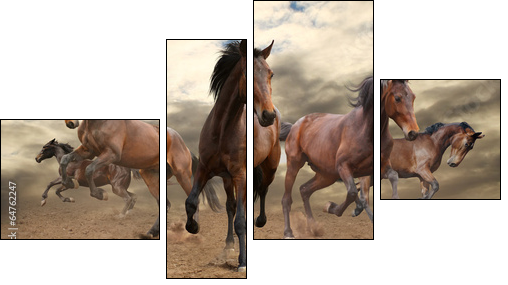 five indomitable bay horse galloping - Four-piece canvas print, Fortyk
