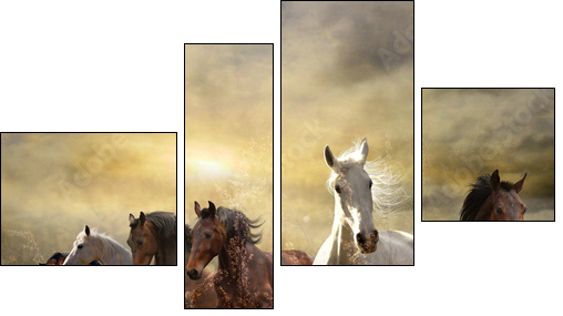 herd of horses galloping free at sunset - Four-piece canvas print, Fortyk