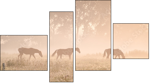 horses in sunshine and fog - Four-piece canvas print, Fortyk