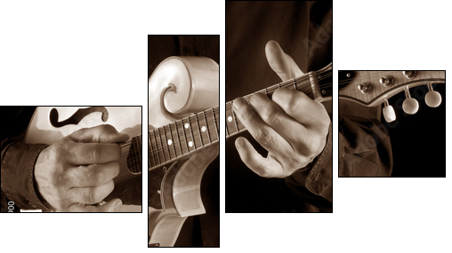 mandolin player,sepia image - Four-piece canvas print, Fortyk