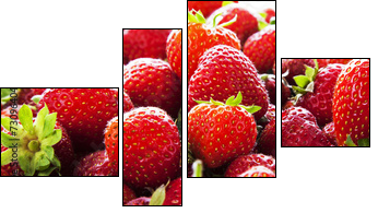 Strawberry panorama. - Four-piece canvas print, Fortyk