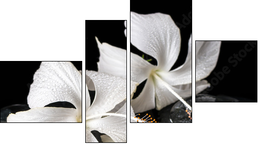 Beautiful cryogenic spa concept of delicate white hibiscus, zen - Four-piece canvas print, Fortyk