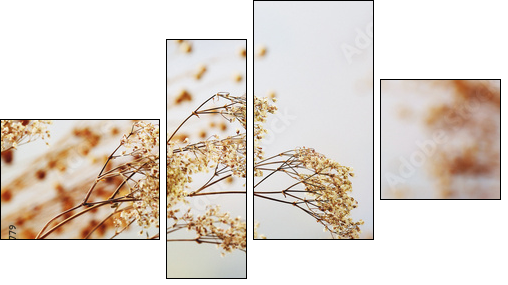 Dried flowers background - Four-piece canvas print, Fortyk