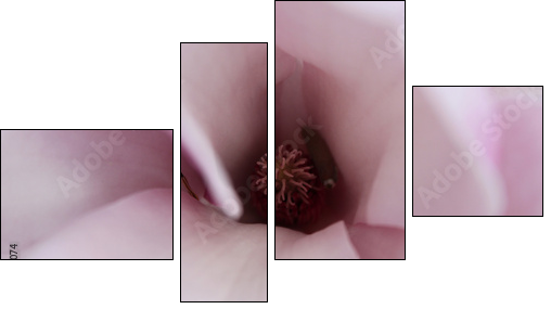 Magnolia inside - Four-piece canvas print, Fortyk