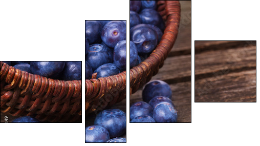 Heidelbeeren, Blaubeeren - Four-piece canvas print, Fortyk