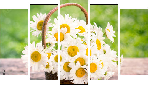 Spring flowers - Daisy flowers in the basket - Five-piece canvas print, Pentaptych