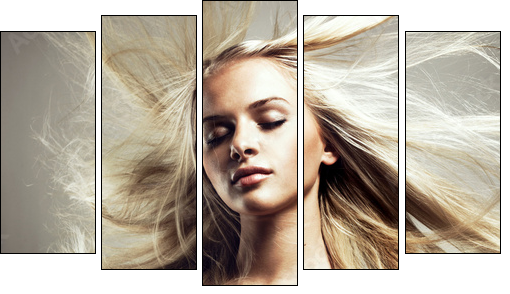 Beautiful woman with magnificent hair - Five-piece canvas print, Pentaptych