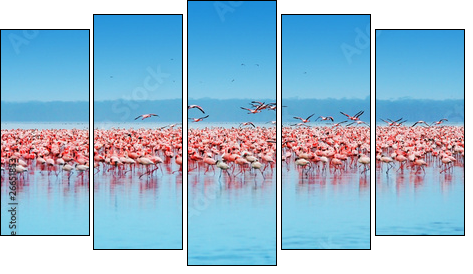 African flamingos - Five-piece canvas print, Pentaptych