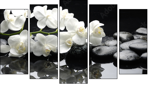 Close up white orchid with stone water drops - Five-piece canvas print, Pentaptych