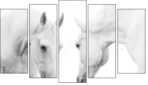white horses - Five-piece canvas print, Pentaptych
