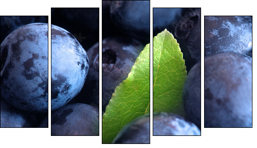 Macro shot of wet fresh blueberry - Five-piece canvas print, Pentaptych