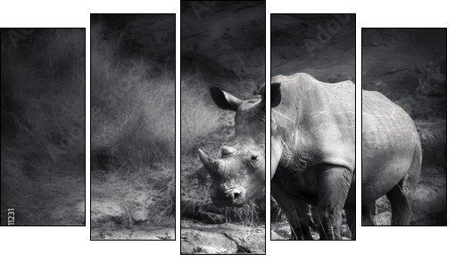 White Rhinoceros - Five-piece canvas print, Pentaptych
