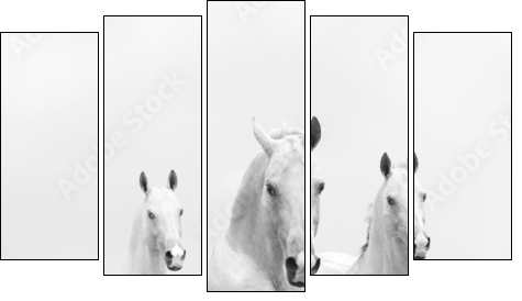 white horses in dust - Five-piece canvas print, Pentaptych