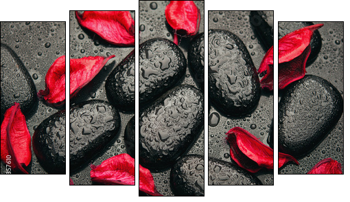 background spa. black stones and red petals with water droplets - Five-piece canvas print, Pentaptych