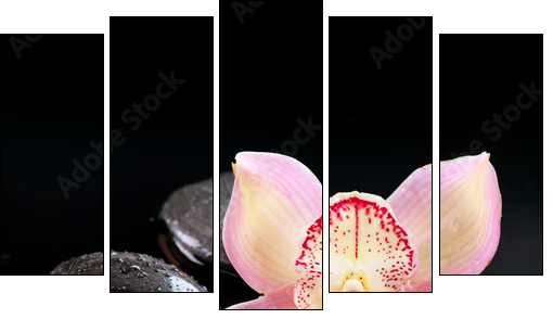 Zen Stones and Orchid Flower. Stone Massage - Five-piece canvas print, Pentaptych