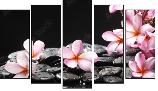Set of frangipani with zen stones - Five-piece canvas print, Pentaptych