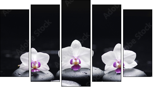 orchid flower and stones in water drops - Five-piece canvas print, Pentaptych