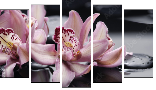 spa concept âgorgeous pink orchid and zen stones - Five-piece canvas print, Pentaptych