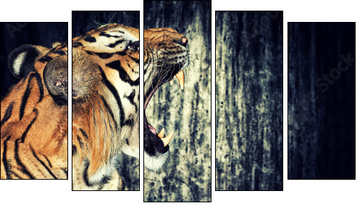 Tiger against grunge wall - Five-piece canvas print, Pentaptych