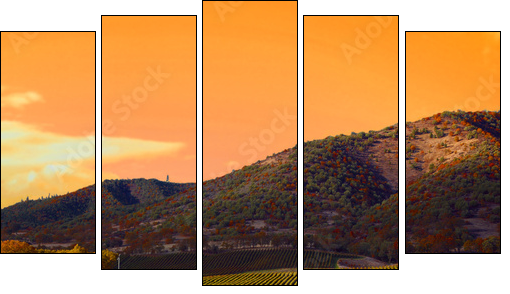 Vineyard Sunset - Five-piece canvas print, Pentaptych