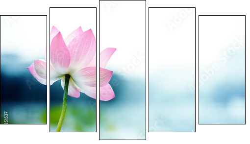 blooming lotus flower - Five-piece canvas print, Pentaptych
