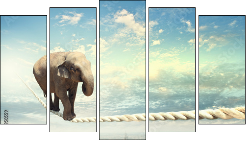 Elephant walking on rope - Five-piece canvas print, Pentaptych