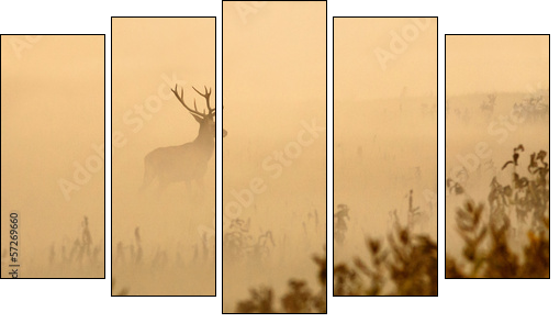 Red deer with big antlers stands on meadow on foggy morning - Five-piece canvas print, Pentaptych