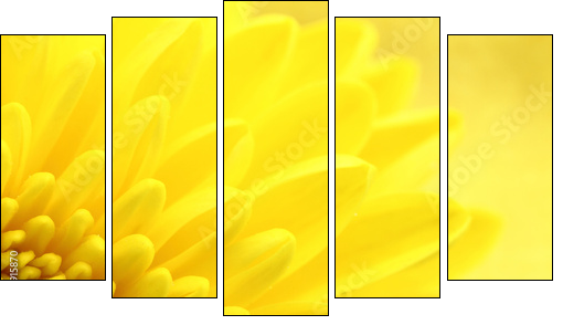 Yellow chrysanthemum petals macro shot - Five-piece canvas print, Pentaptych