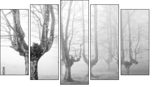 creepy forest with scary trees - Five-piece canvas print, Pentaptych