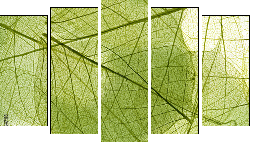 leaves background - Five-piece canvas print, Pentaptych