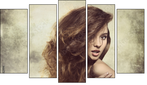 sexy lady with bushy hair - Five-piece canvas print, Pentaptych