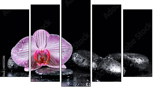 Orchid flower with zen stones on black background - Five-piece canvas print, Pentaptych