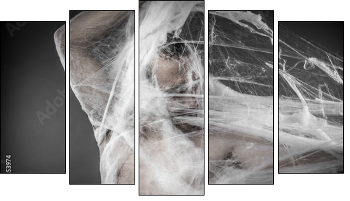 Trap.man tangled in huge white spider web - Five-piece canvas print, Pentaptych