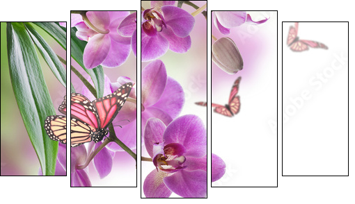 Floral background of tropical orchids and  butterfly - Five-piece canvas print, Pentaptych