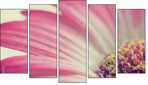 Macro of a pink summer daisy - Five-piece canvas print, Pentaptych