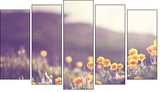 Sunny meadow - Five-piece canvas print, Pentaptych